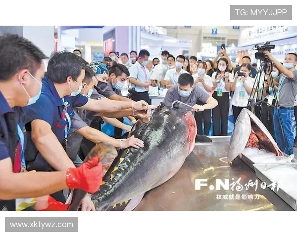 博鱼体育平台优惠活动有哪些 最新优惠政策全揭秘